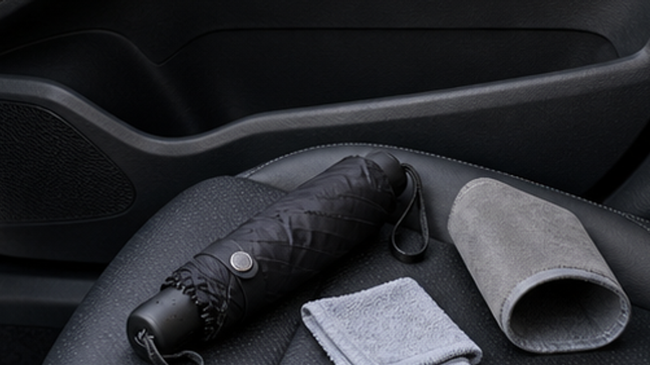 How to Organize a Car Umbrella Drip Sleeve in the Door Pocket